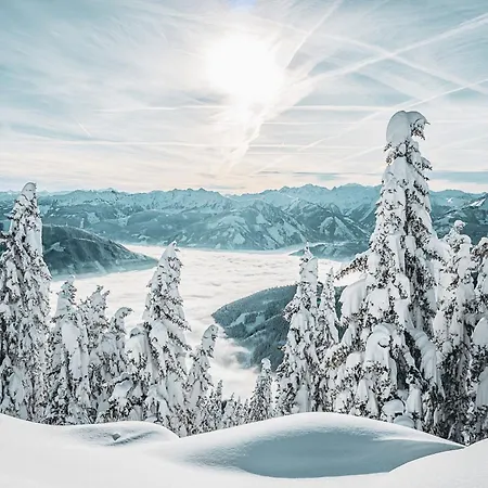 Hotell Martini Inkluding Breakfast & Free Parking 3*