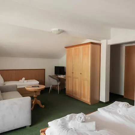 Martini Including Free Parking And Zell Am See-kaprun Summer Card Hotel