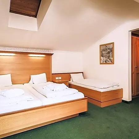 Martini Including Free Parking And Zell Am See-kaprun Summer Card Hotel