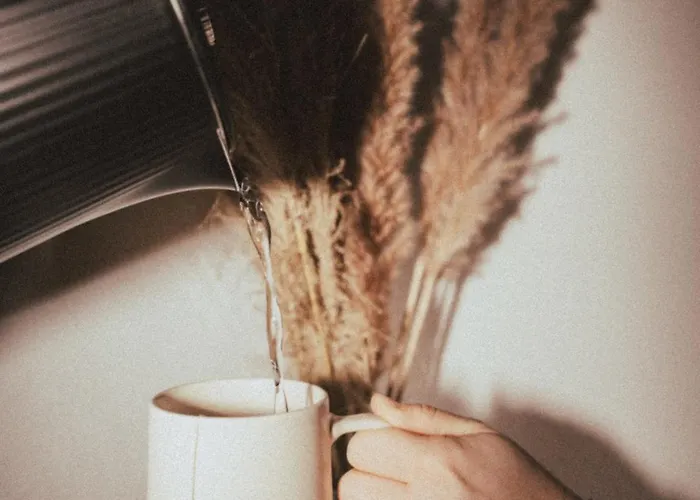 Martini Inkluding Breakfast & Free Parking Hotel Kaprun