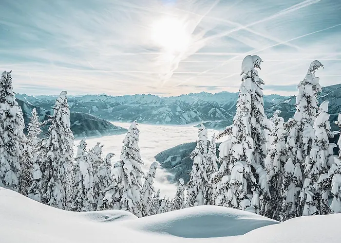 Hotel Martini Inkluding Breakfast & Free Parking 3*